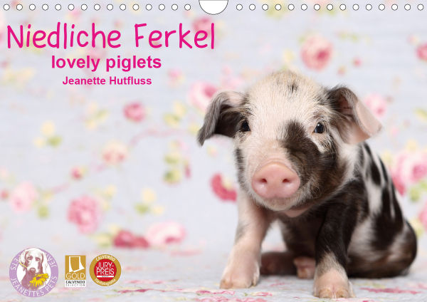 Ferkel.COV.jpg